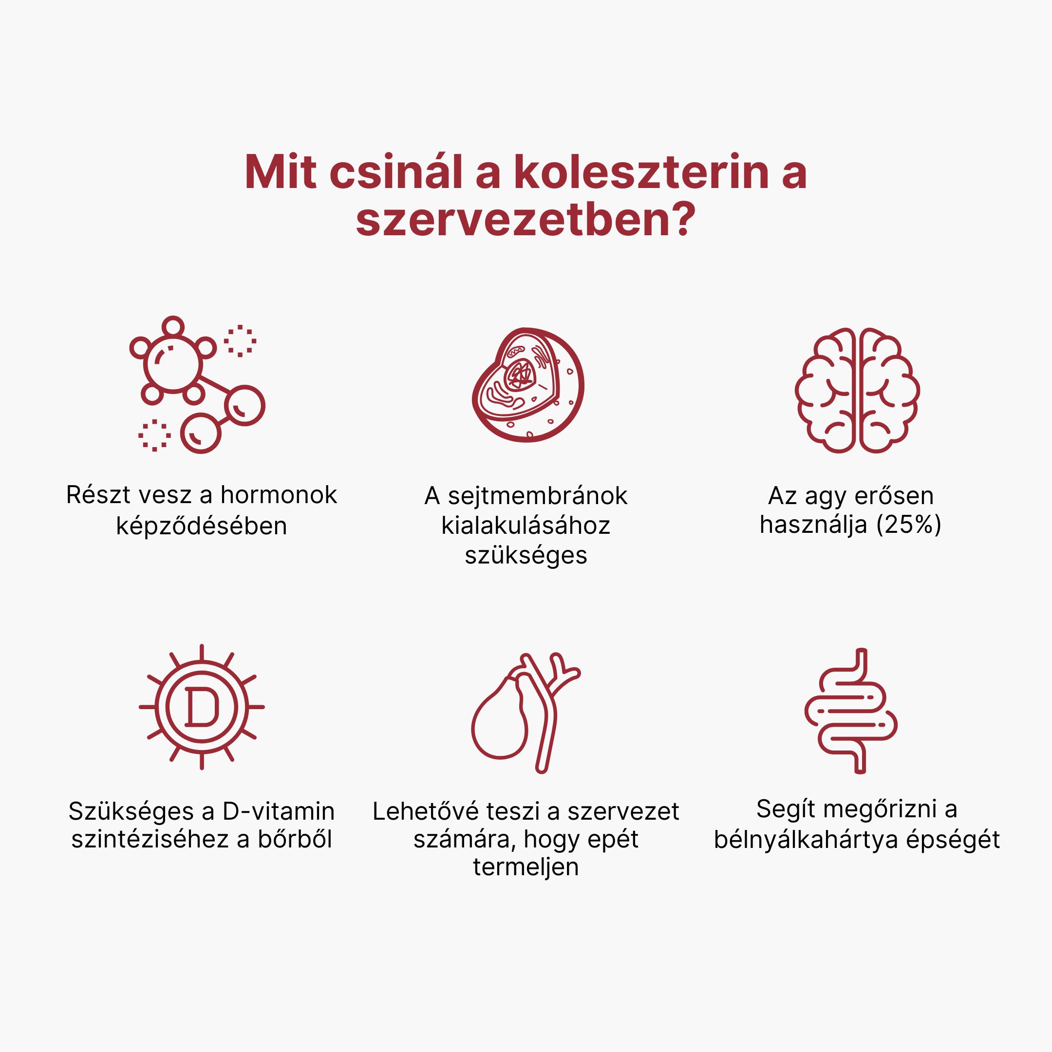 (Maďarština) Co má v těle na starost cholesterol (1)